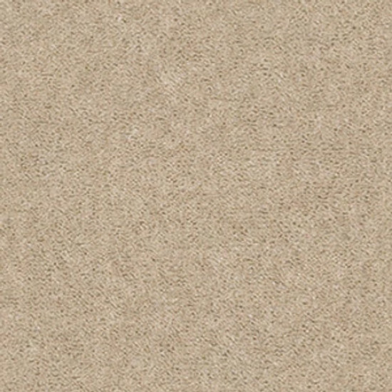 SPRINTER - Practical Beige 00136 SPRINTER - Practical Beige 00136