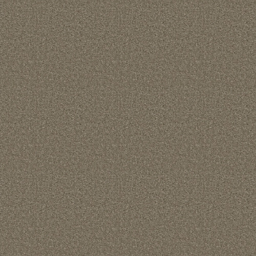 SPRINTER - Putty 00541