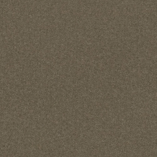 SPRINTER - Putty 00541 SPRINTER - Putty 00541