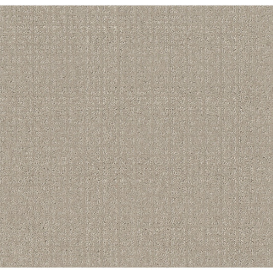 TRANSFORM - Oatmeal 00108