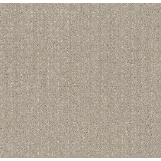 TRANSFORM - Oatmeal 00108