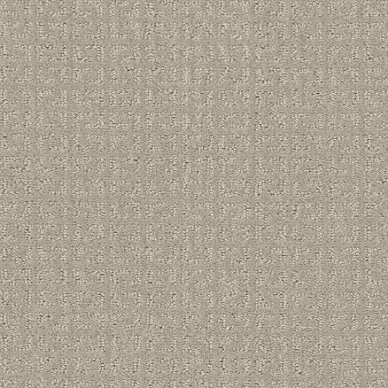 TRANSFORM - Oatmeal 00108