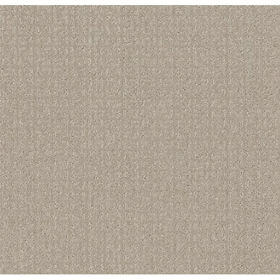 TRANSFORM - Oatmeal 00108