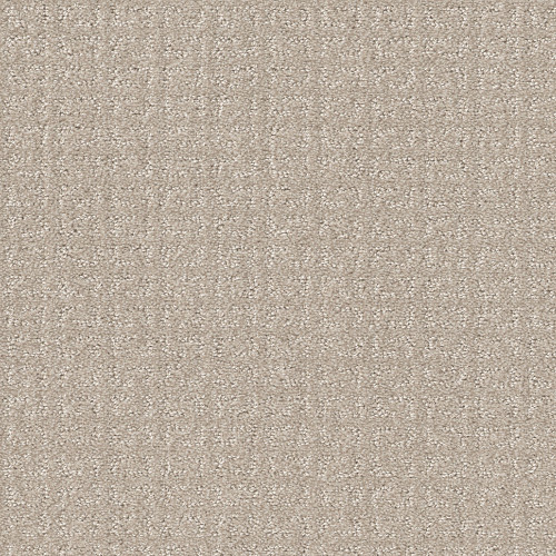 TRANSFORM - Sand Swept 00109