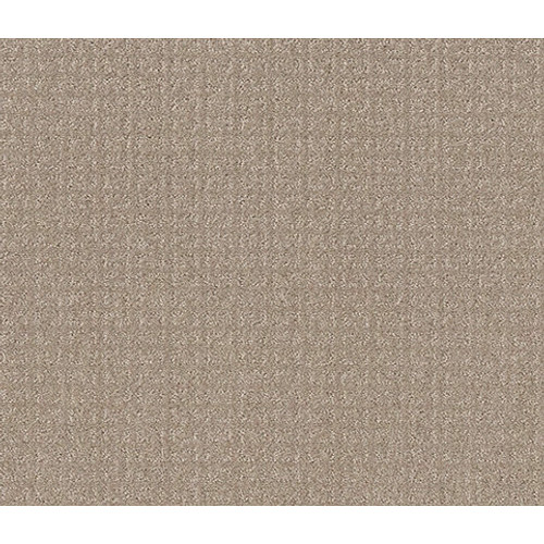 TRANSFORM - Sand Swept 00109