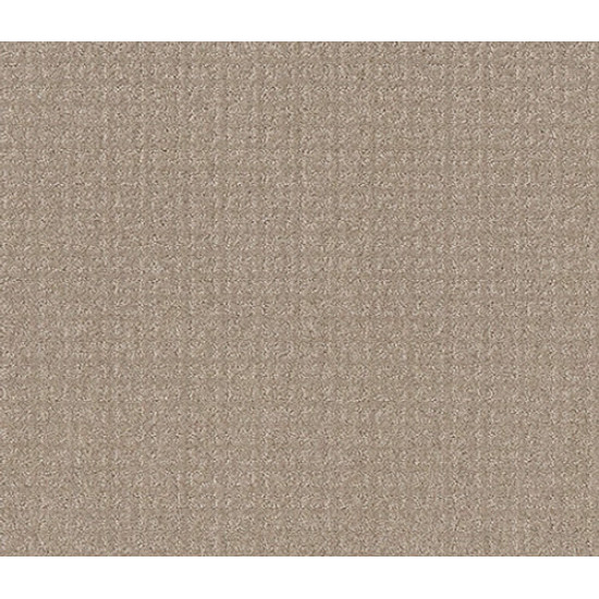 TRANSFORM - Sand Swept 00109