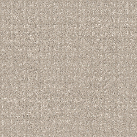 TRANSFORM - Sand Swept 00109