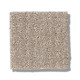 TRANSFORM - Sand Swept 00109