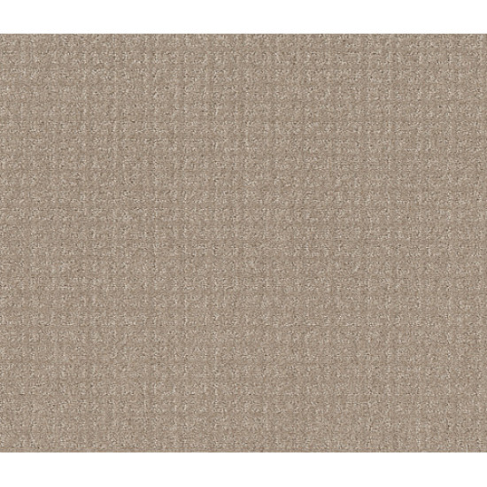 TRANSFORM - Sand Swept 00109