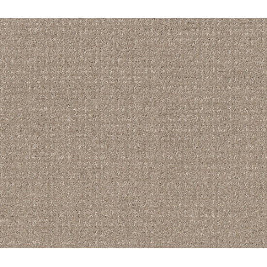 TRANSFORM - Sand Swept 00109