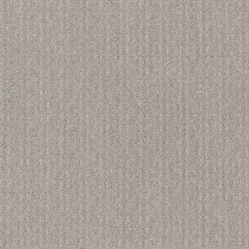 TRANSFORM - Feather 00502