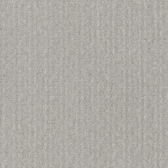 TRANSFORM - Feather 00502 TRANSFORM - Feather 00502