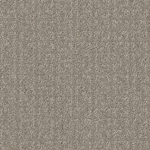TRANSFORM - Fossil 00505