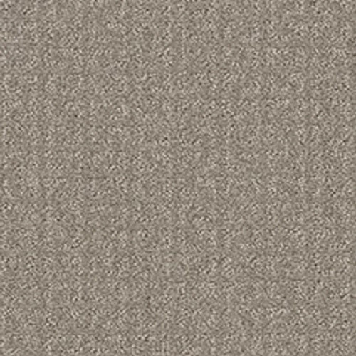TRANSFORM - Fossil 00505