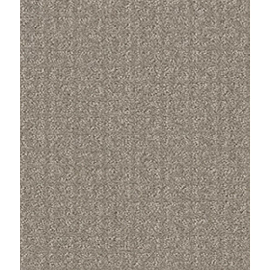 TRANSFORM - Fossil 00505 TRANSFORM - Fossil 00505