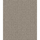 TRANSFORM - Fossil 00505 TRANSFORM - Fossil 00505