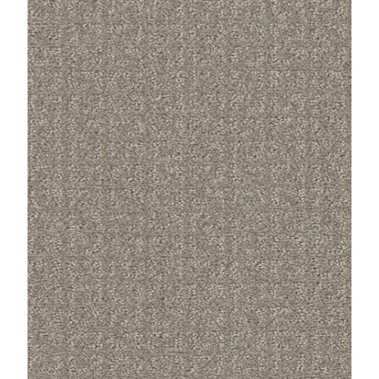 TRANSFORM - Fossil 00505 TRANSFORM - Fossil 00505