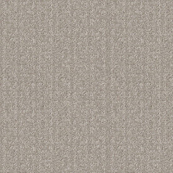 TRANSFORM - Fossil 00505 TRANSFORM - Fossil 00505