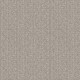 TRANSFORM - Fossil 00505 TRANSFORM - Fossil 00505
