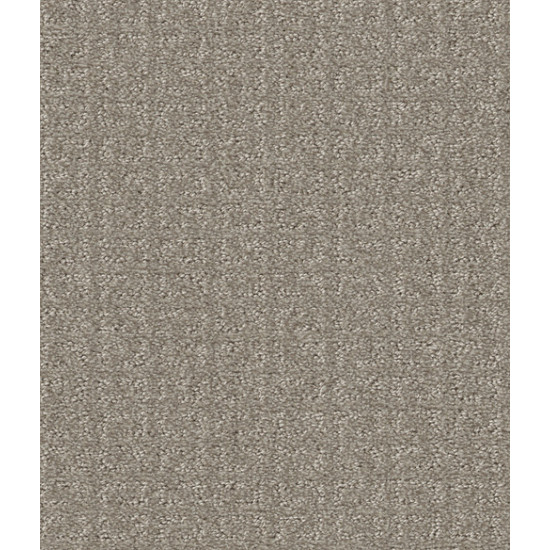 TRANSFORM - Fossil 00505 TRANSFORM - Fossil 00505