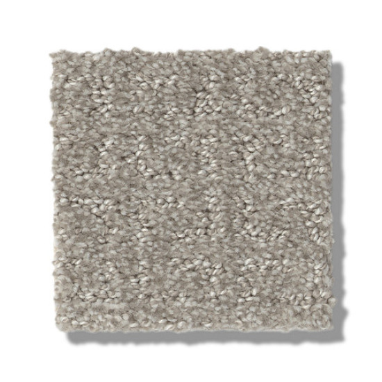 TRANSFORM - Fossil 00505 TRANSFORM - Fossil 00505