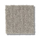 TRANSFORM - Fossil 00505 TRANSFORM - Fossil 00505