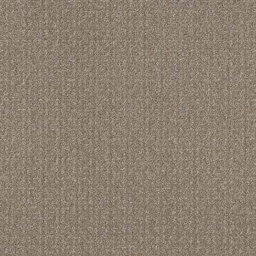 TRANSFORM - Simply Tan 00704