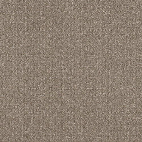 TRANSFORM - Simply Tan 00704