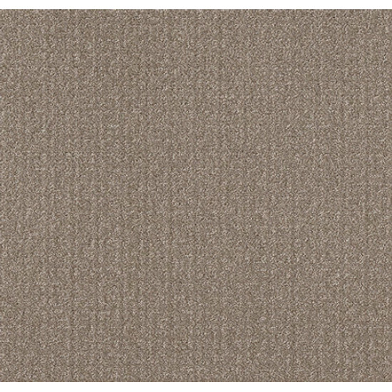 TRANSFORM - Simply Tan 00704
