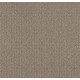 TRANSFORM - Simply Tan 00704