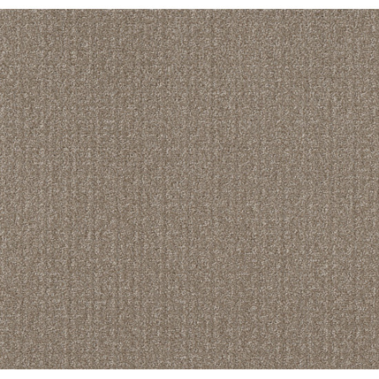 TRANSFORM - Simply Tan 00704