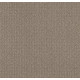 TRANSFORM - Simply Tan 00704