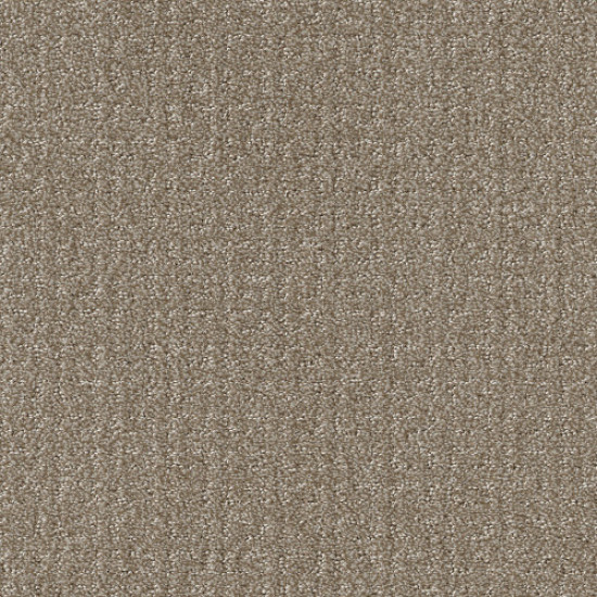 TRANSFORM - Simply Tan 00704