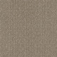 TRANSFORM - Simply Tan 00704