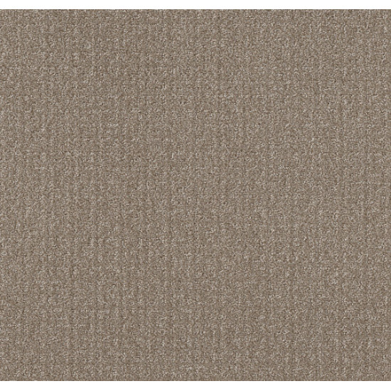 TRANSFORM - Simply Tan 00704