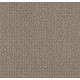 TRANSFORM - Simply Tan 00704