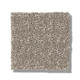 TRANSFORM - Simply Tan 00704
