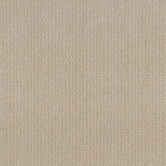TRANSLATE - Biscuit 00107
