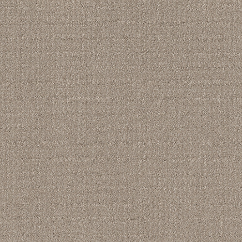 TRANSLATE NET - Sand Swept 00109
