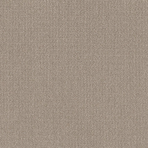 TRANSLATE NET - Sand Swept 00109
