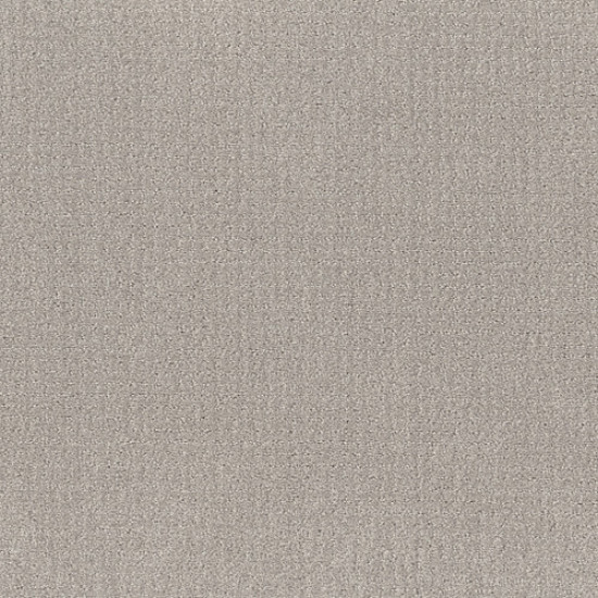 TRANSLATE - Feather 00502