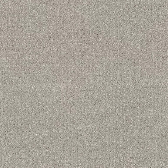 TRANSLATE - Feather 00502