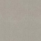 TRANSLATE - Feather 00502