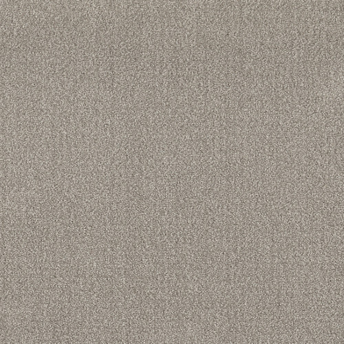 TRANSLATE NET - Fossil 00505
