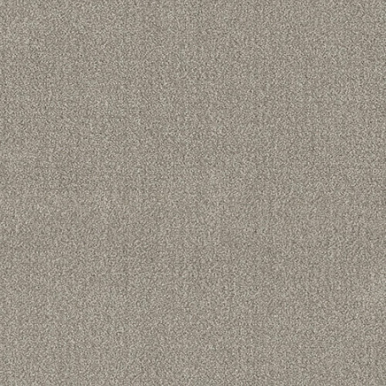 TRANSLATE - Fossil 00505 TRANSLATE - Fossil 00505