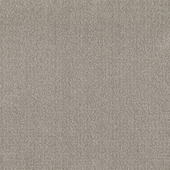 TRANSLATE - Fossil 00505 TRANSLATE - Fossil 00505