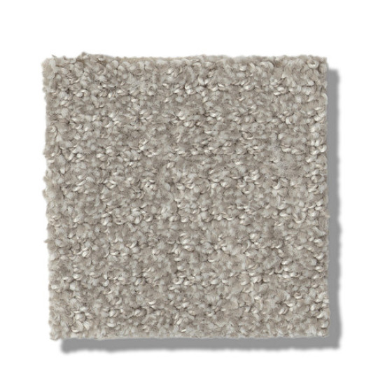 TRANSLATE - Fossil 00505 TRANSLATE - Fossil 00505