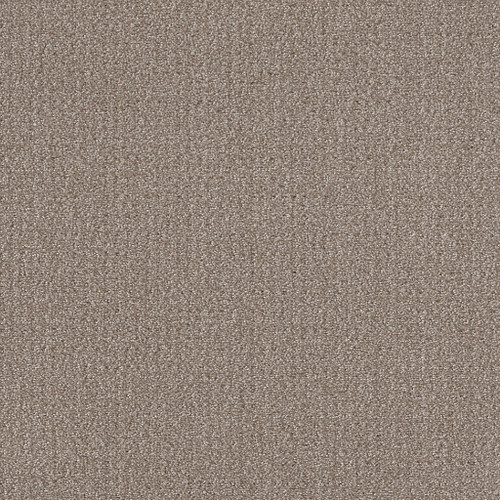 TRANSLATE NET - Simply Tan 00704