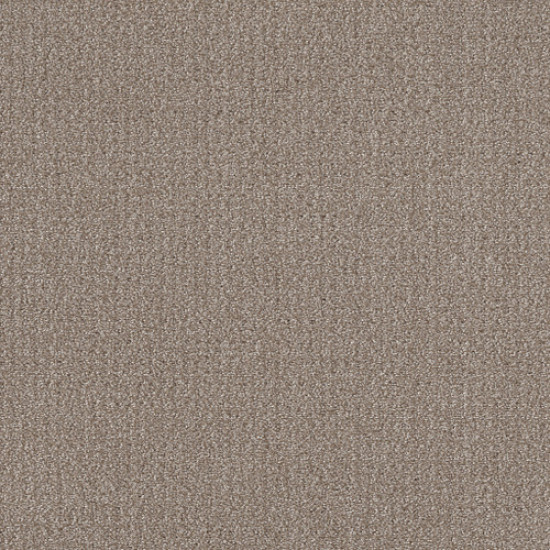 TRANSLATE - Simply Tan 00704