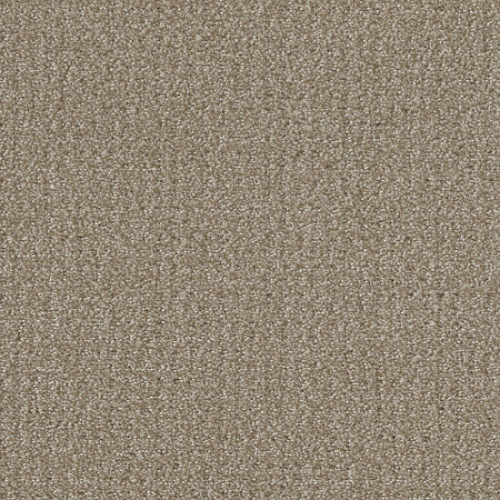 TRANSLATE - Simply Tan 00704
